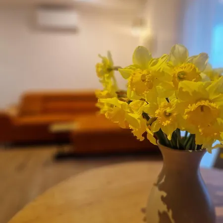 Divini Lägenhet